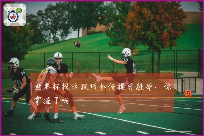 世界杯投注技巧如何提升胜率，你掌握了吗