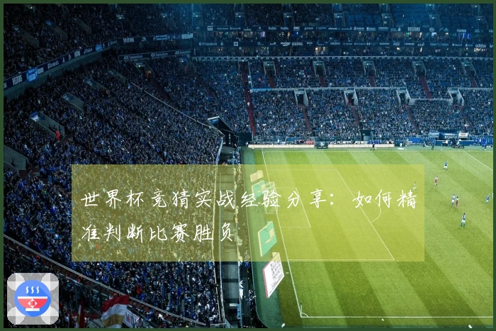 世界杯竞猜实战经验分享:如何精准判断比赛胜负