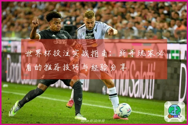 世界杯投注实战指南：新手玩家必看的推荐技巧与经验分享