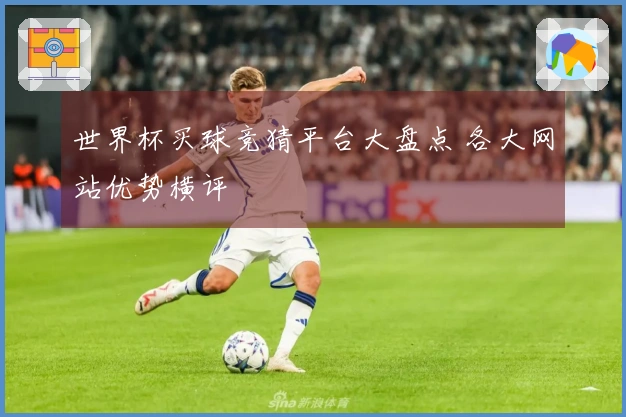 世界杯买球竞猜平台大盘点 各大网站优势横评