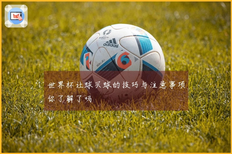 世界杯让球买球的技巧与注意事项你了解了吗