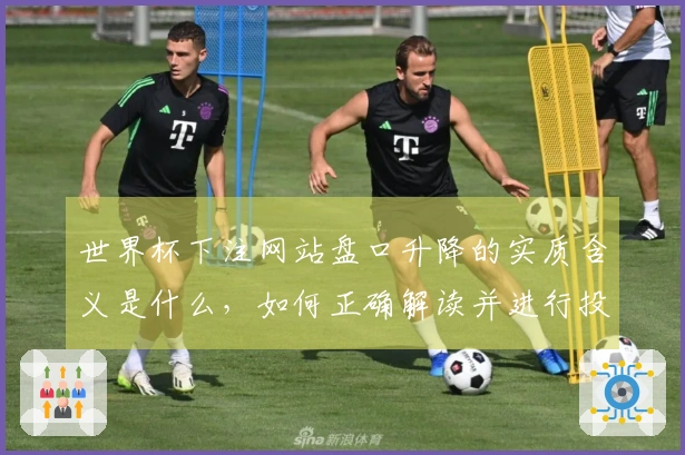 世界杯下注网站盘口升降的实质含义是什么，如何正确解读并进行投注决策？
