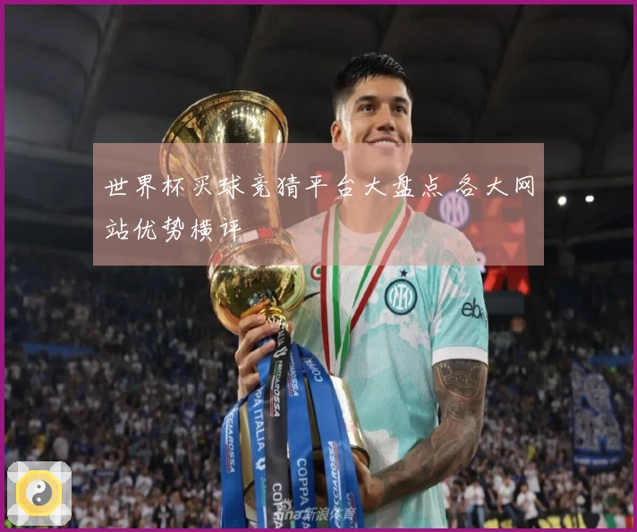 世界杯买球竞猜平台大盘点 各大网站优势横评