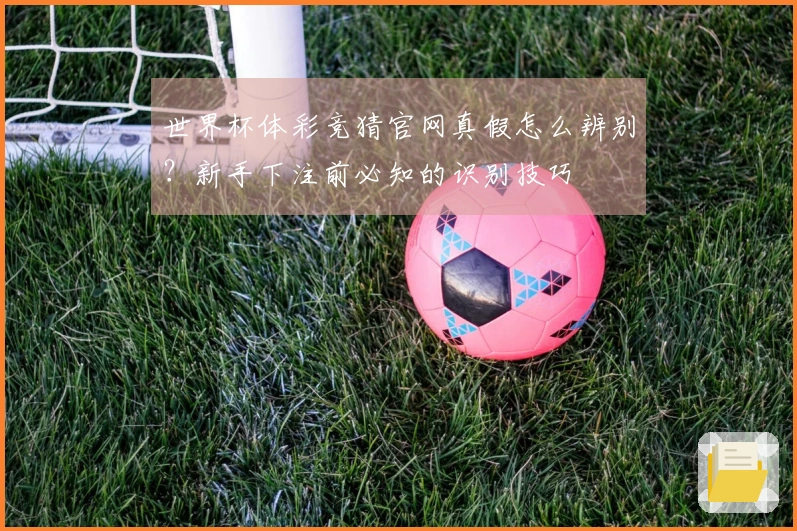 世界杯体彩竞猜官网真假怎么辨别？新手下注前必知的识别技巧