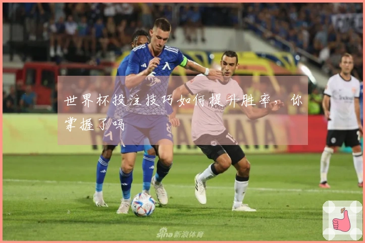 世界杯投注技巧如何提升胜率,你掌握了吗