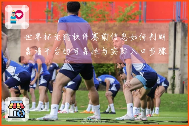 世界杯竞猜软件赛前信息如何判断靠谱平台的可靠性与实际入口步骤