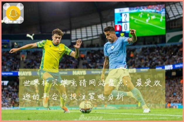 世界杯买球竞猜网站盘点:最受欢迎的平台与投注策略分析